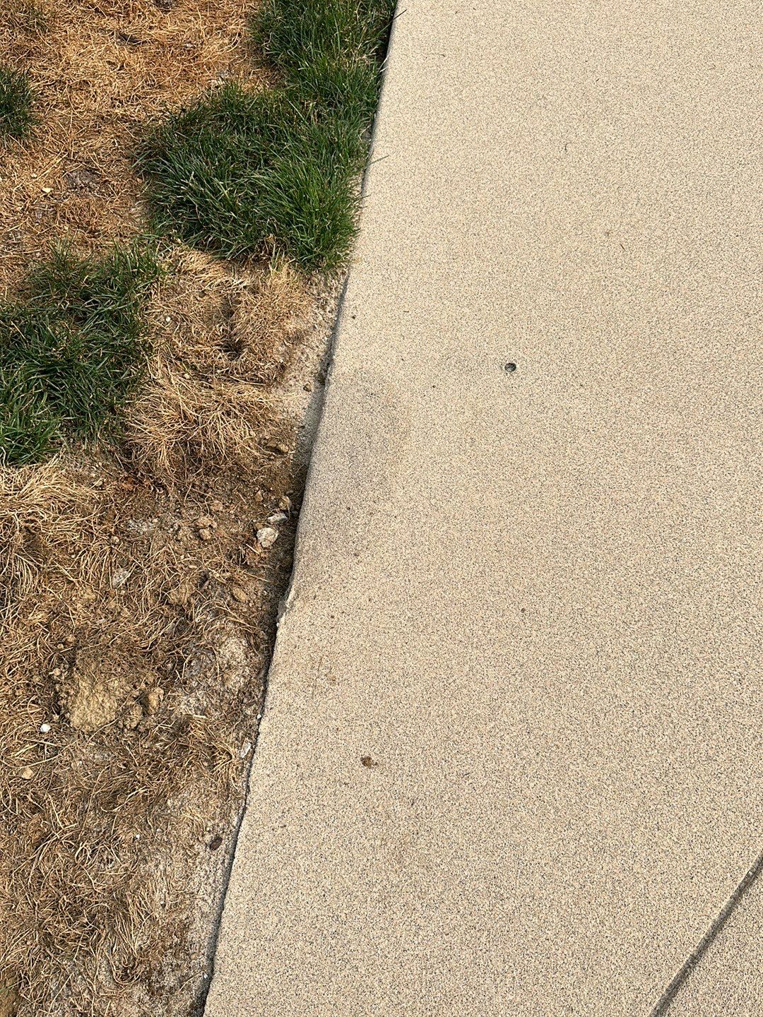 Pool Deck + Driveway + Garage Project in Venetia by Floors in a Day, Inc