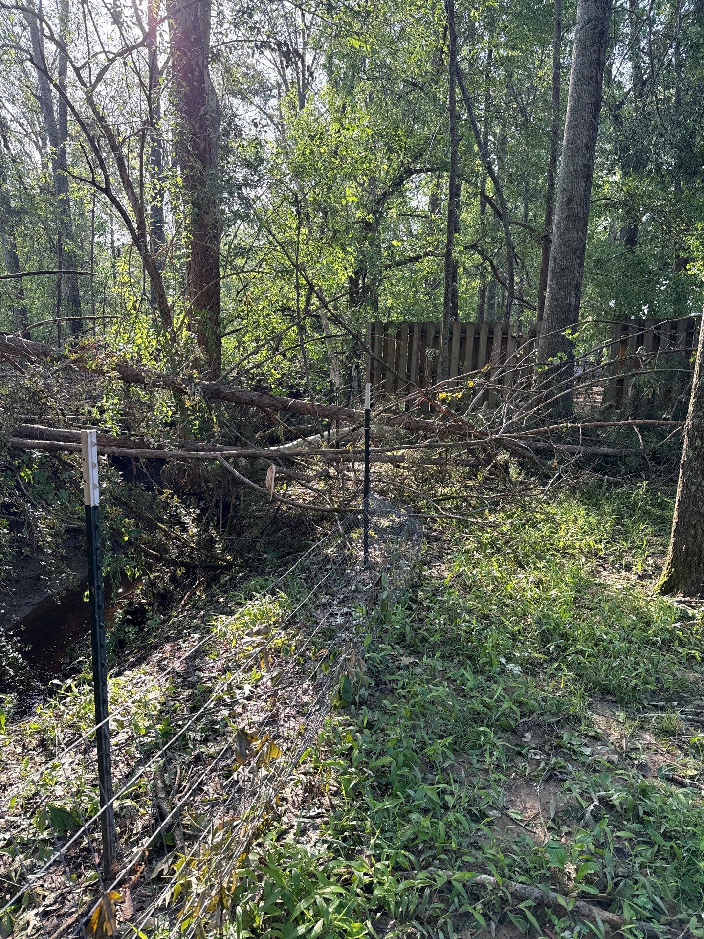 Disaster Relief using Dinolift  by American Arbor