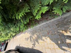 Window Cleaning in Ridgewood, NJ — Gallo Bros job photo