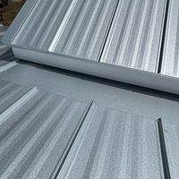 24ga 1" Nail-Strip Mill Finish by Total Roofing System The Metal Roof Experts