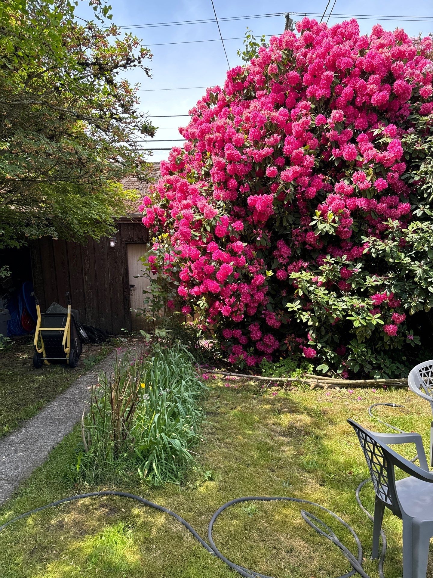 Project in Everett by Connolly Construction Company