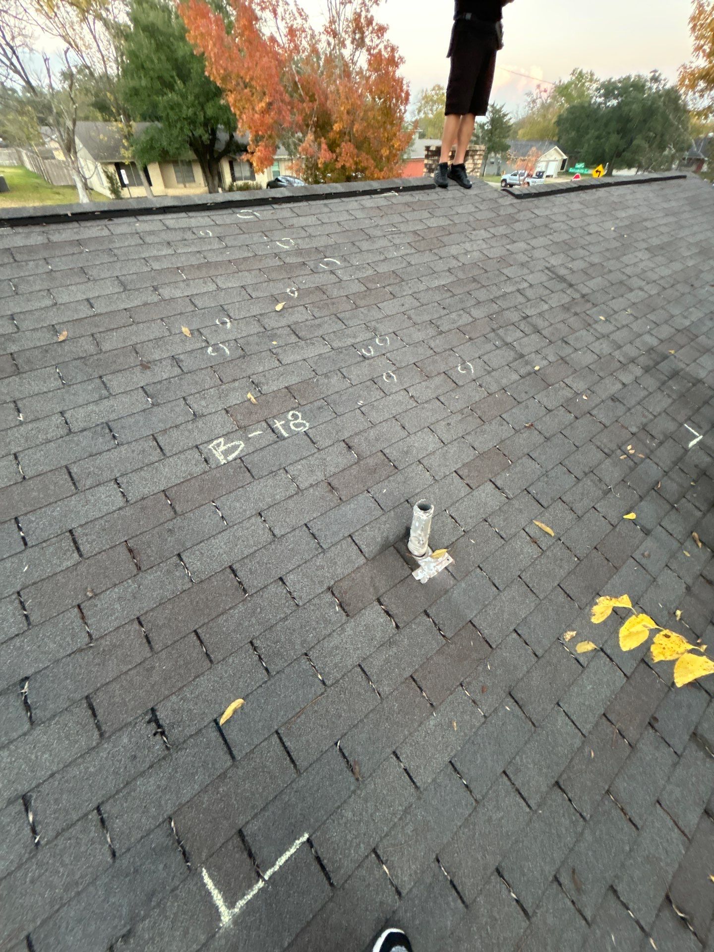 SUSANA T by Boss Hogg Roofing