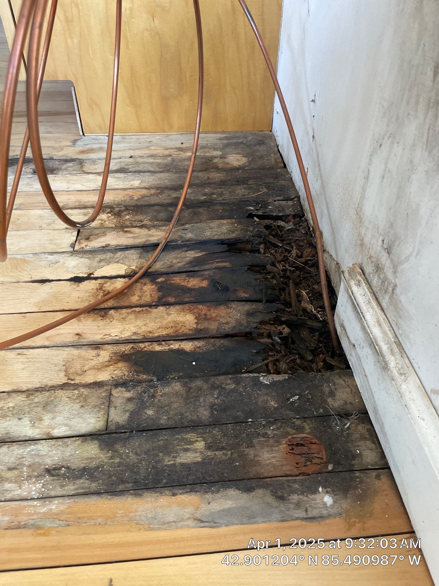 Water Damage Restoration On Solid Birch by RTBaldwin Hardwood Floors