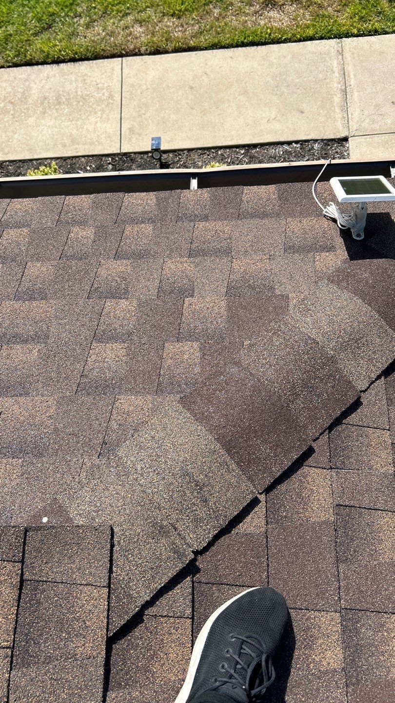 Barkwood - GAF Timberline HDZ by RoofsOnly.com