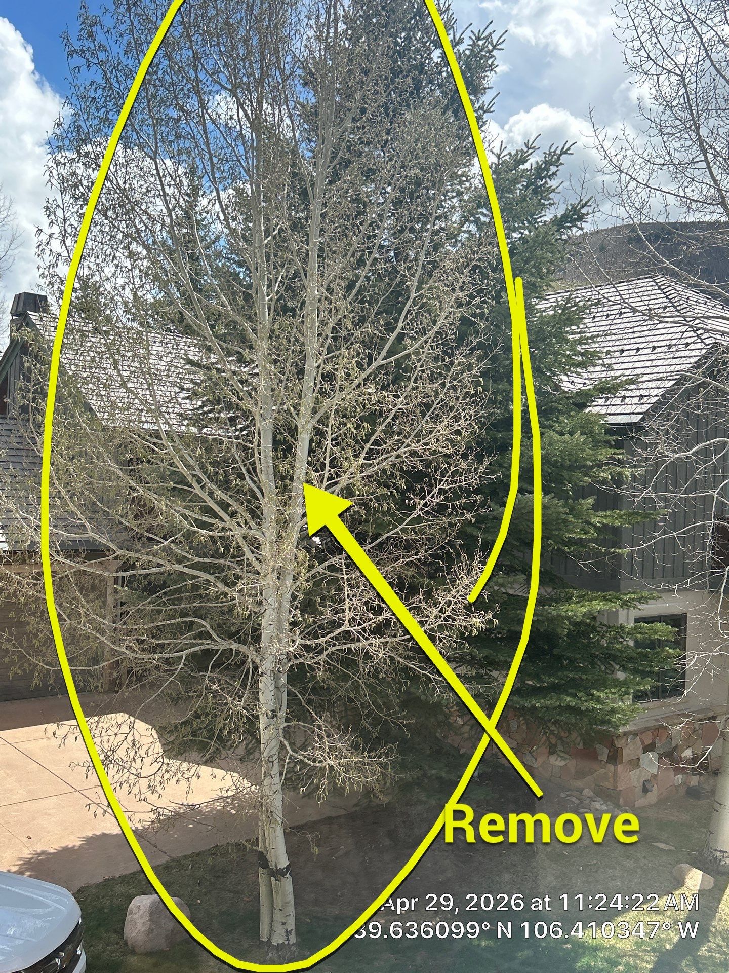 Residential Aspen Tree Removal and Roof System Maintenance in Vail by CompanyCam Sales Demo
