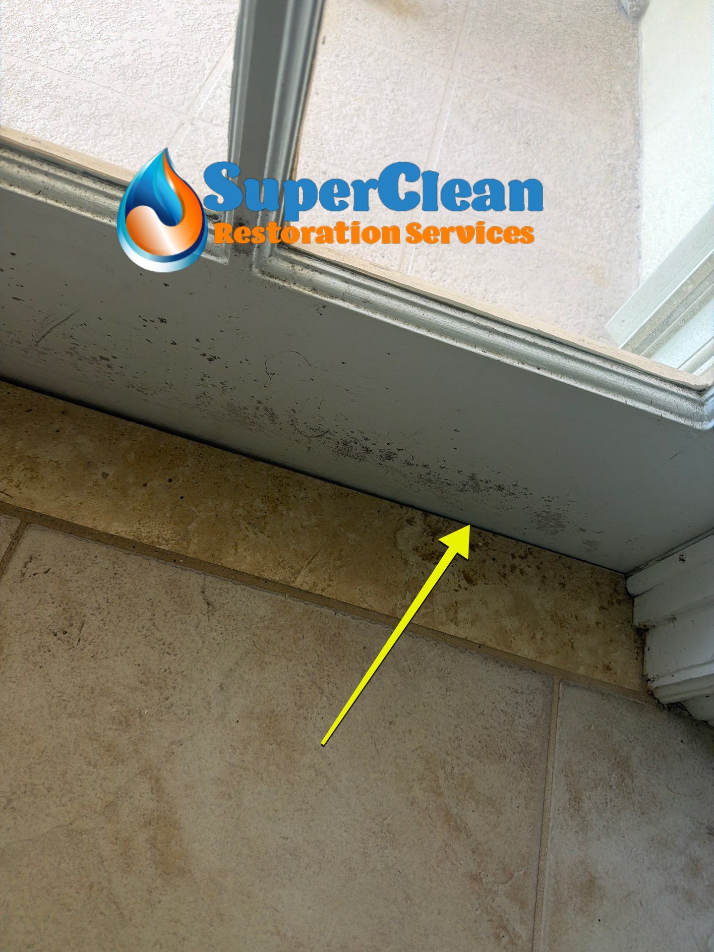 Residential Mold Remediation and Interior Moisture Damage Assessment in Palm Beach by SuperClean
