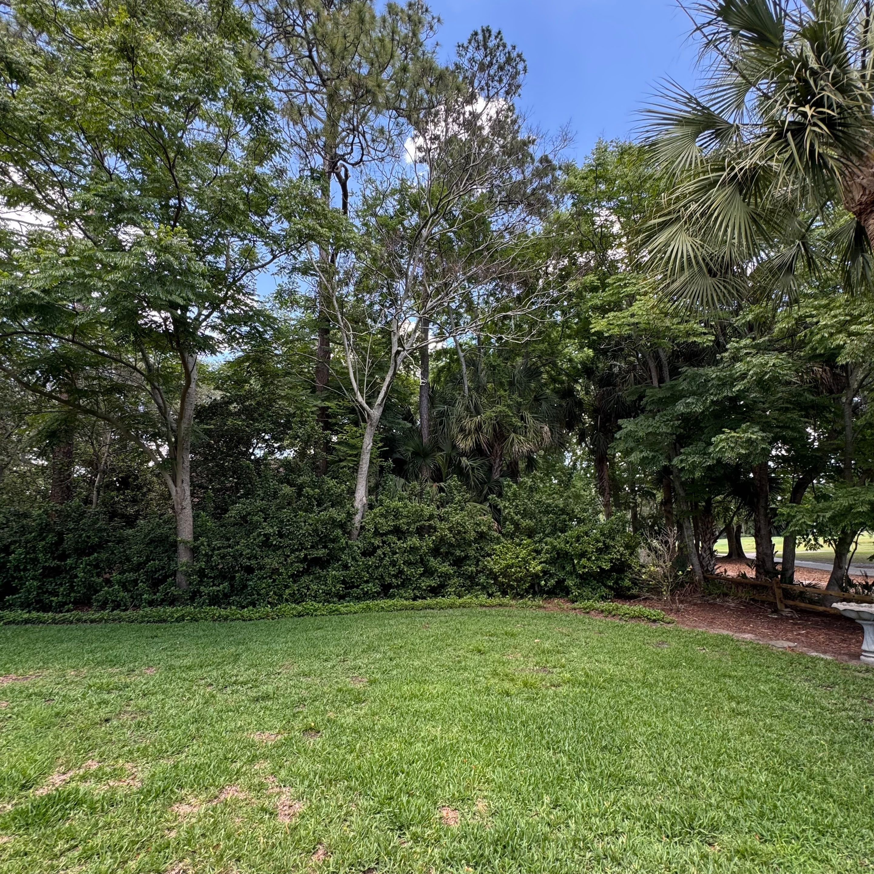 Deerwood Resident | Tree Removal by ProGreen Services