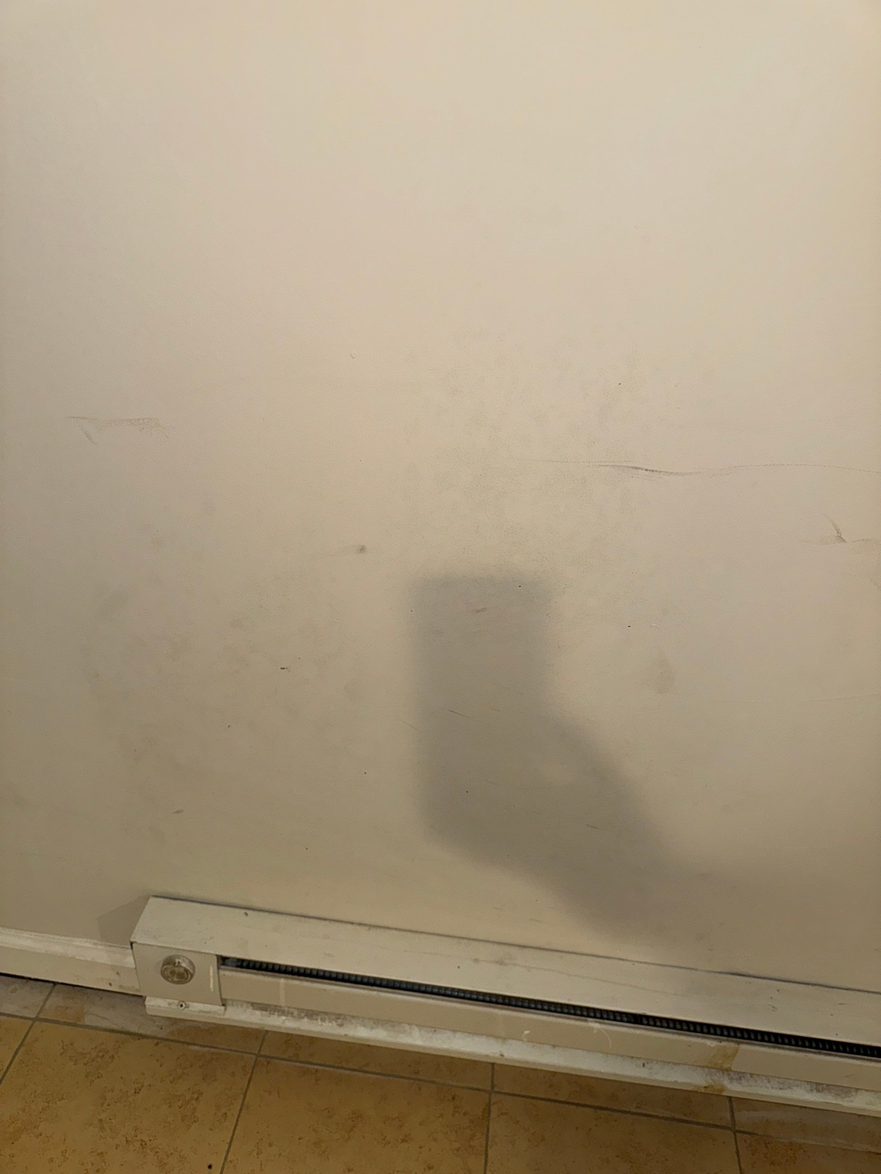 Interior French Drain Newton NJ by Pure Service Pro, LLC 