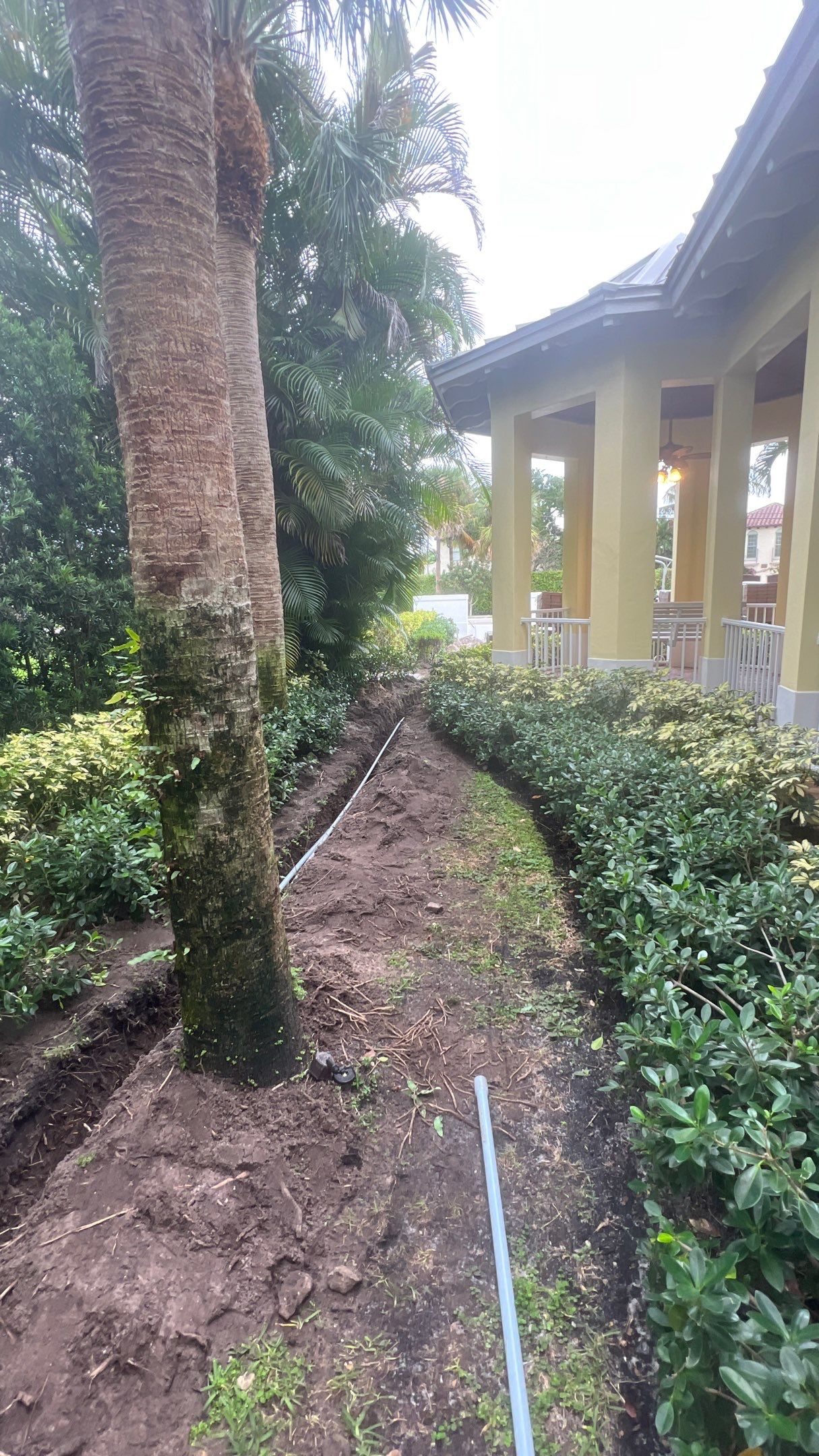 Hazard  by The Landscaping People
