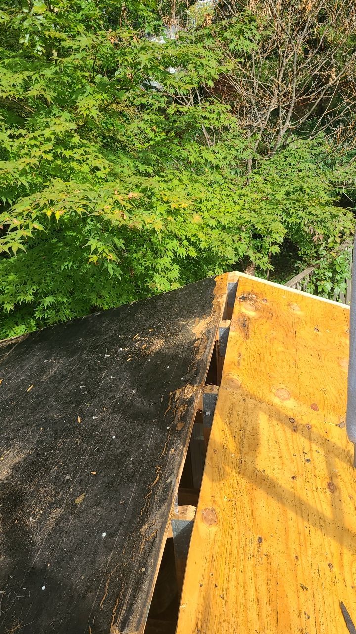 Arlington: CertainTeed Landmark Pro Designer Shingles in Max Def Heather Blend by RM Banning, Inc.