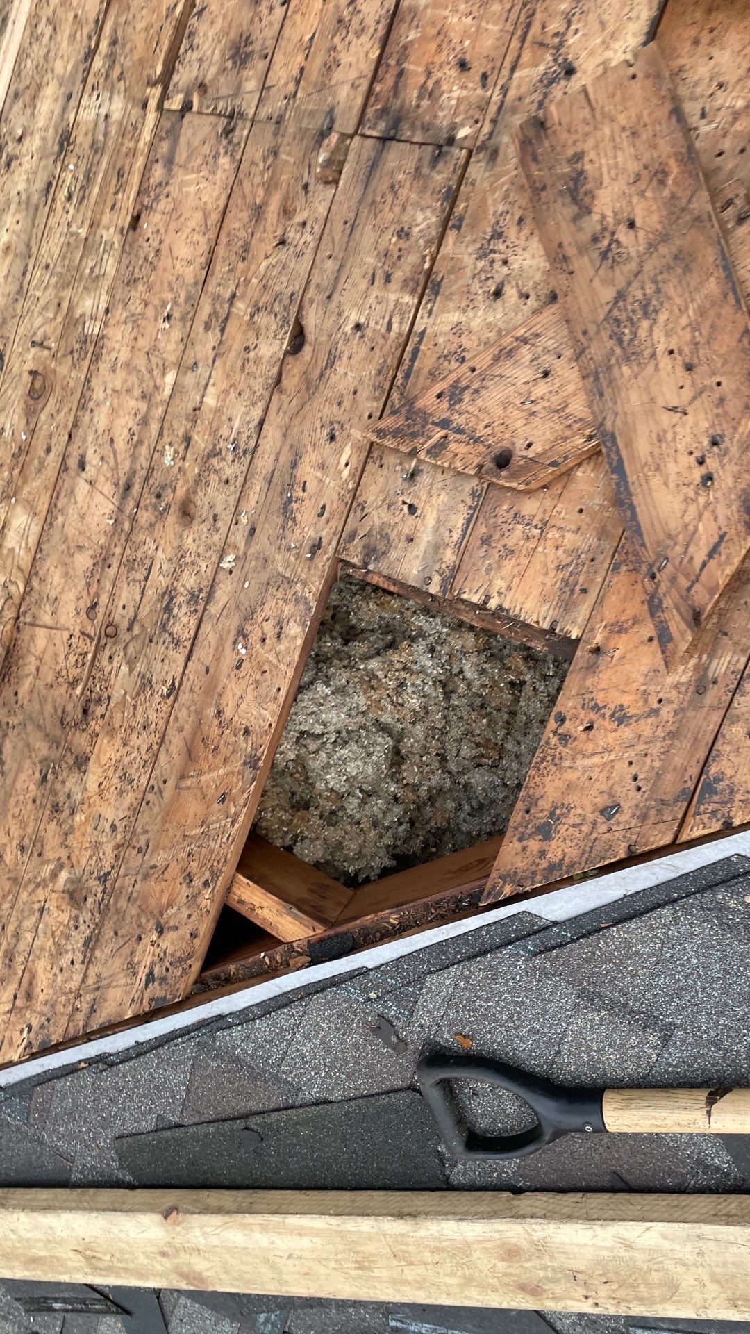 Roof Replacement using CertainTeed Landmark by 180 Contractors