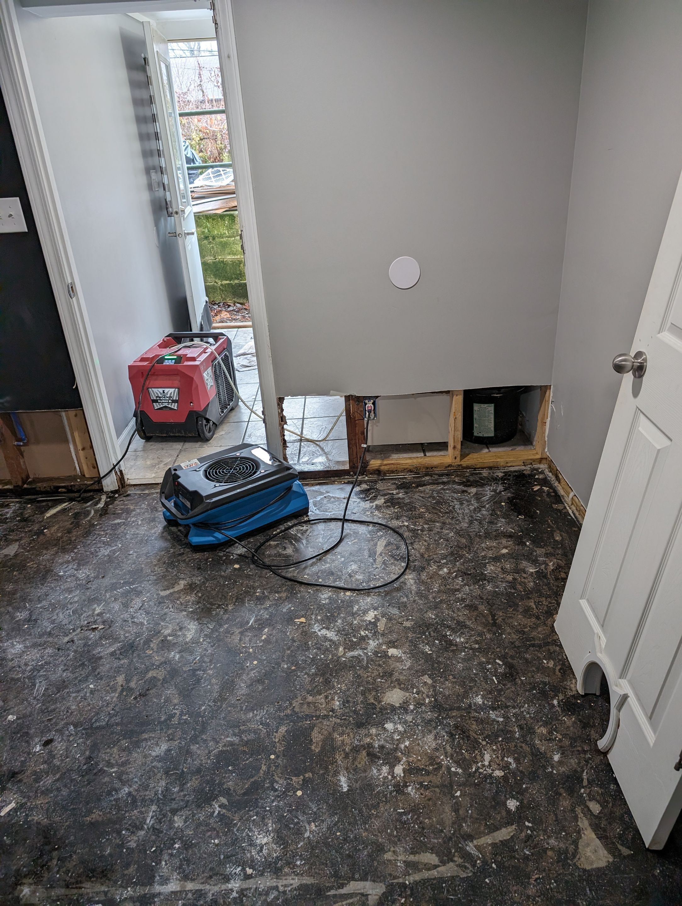 Mold Remediation in New Albany, IN by ANR Restoration