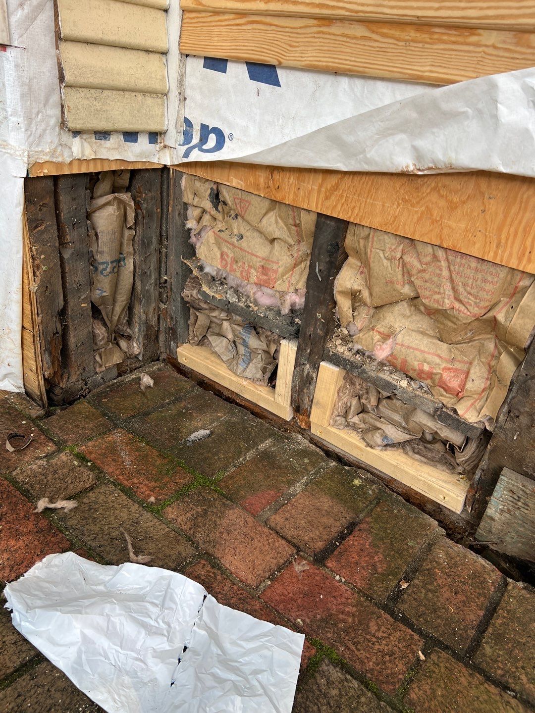 Alexandria: Siding Replacement with Solid Pine Wood Lap Siding by RM Banning, Inc.