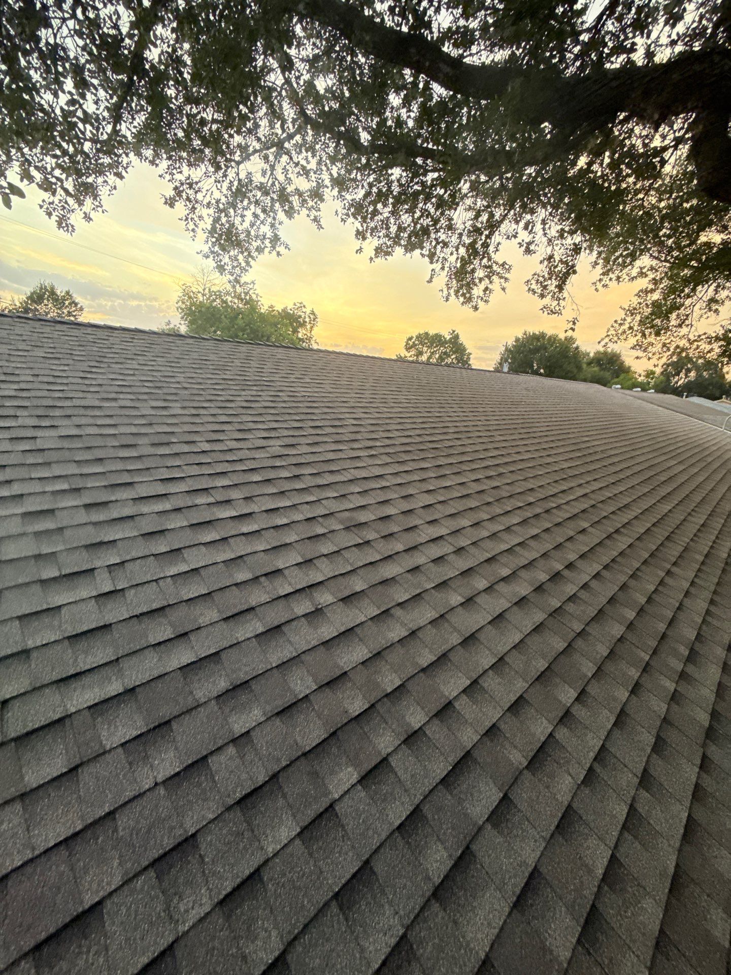 Roof Replacement Pasadena by Roof Repair Services LLC