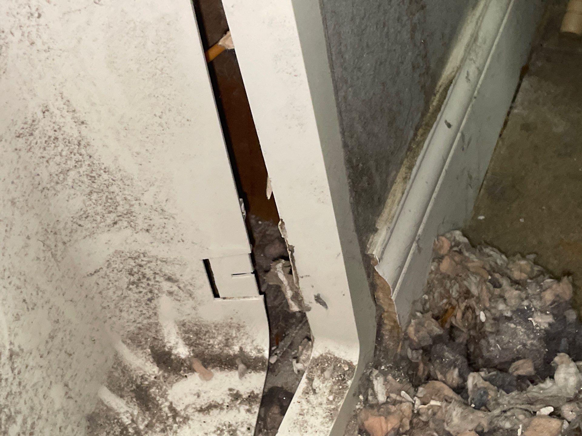 Air Duct Cleaning in Clermont by Hygienic Air, Inc