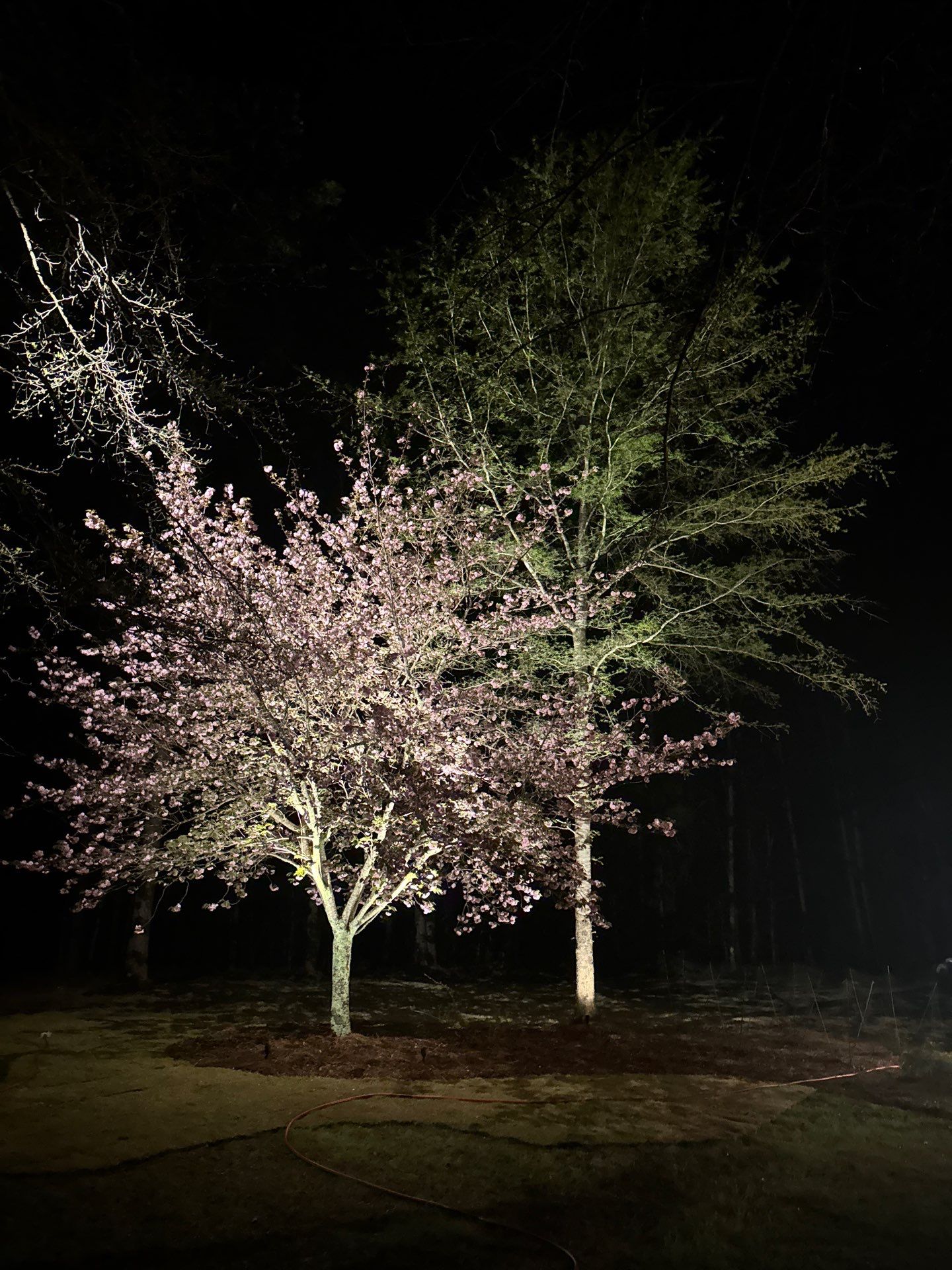 COLD Project by Georgia Outdoor Decor