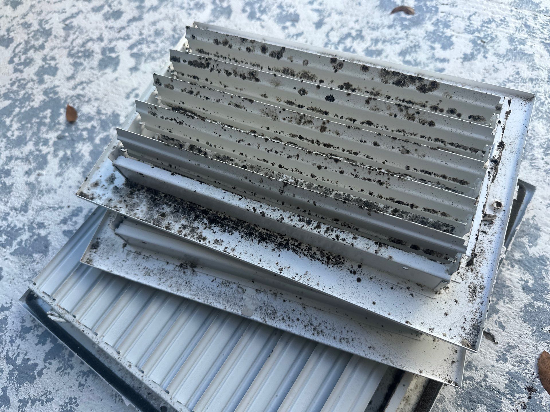 Air Duct Dryer Vent Cleaning Encapsulation Dryer Vent Repair in Clermont by Hygienic Air, Inc