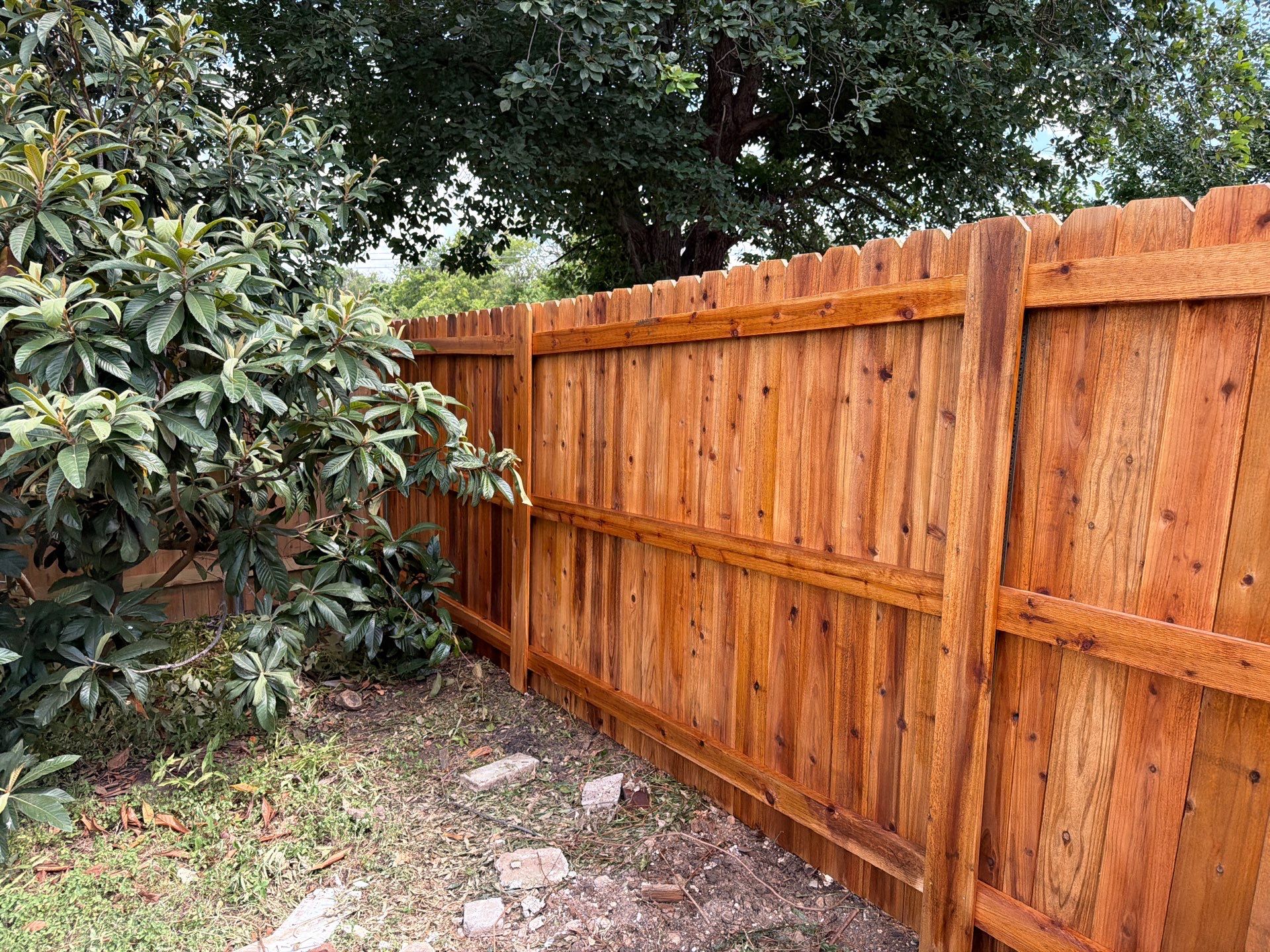 Cedar Privacy Fence Replacement with Steel Posts in Austin