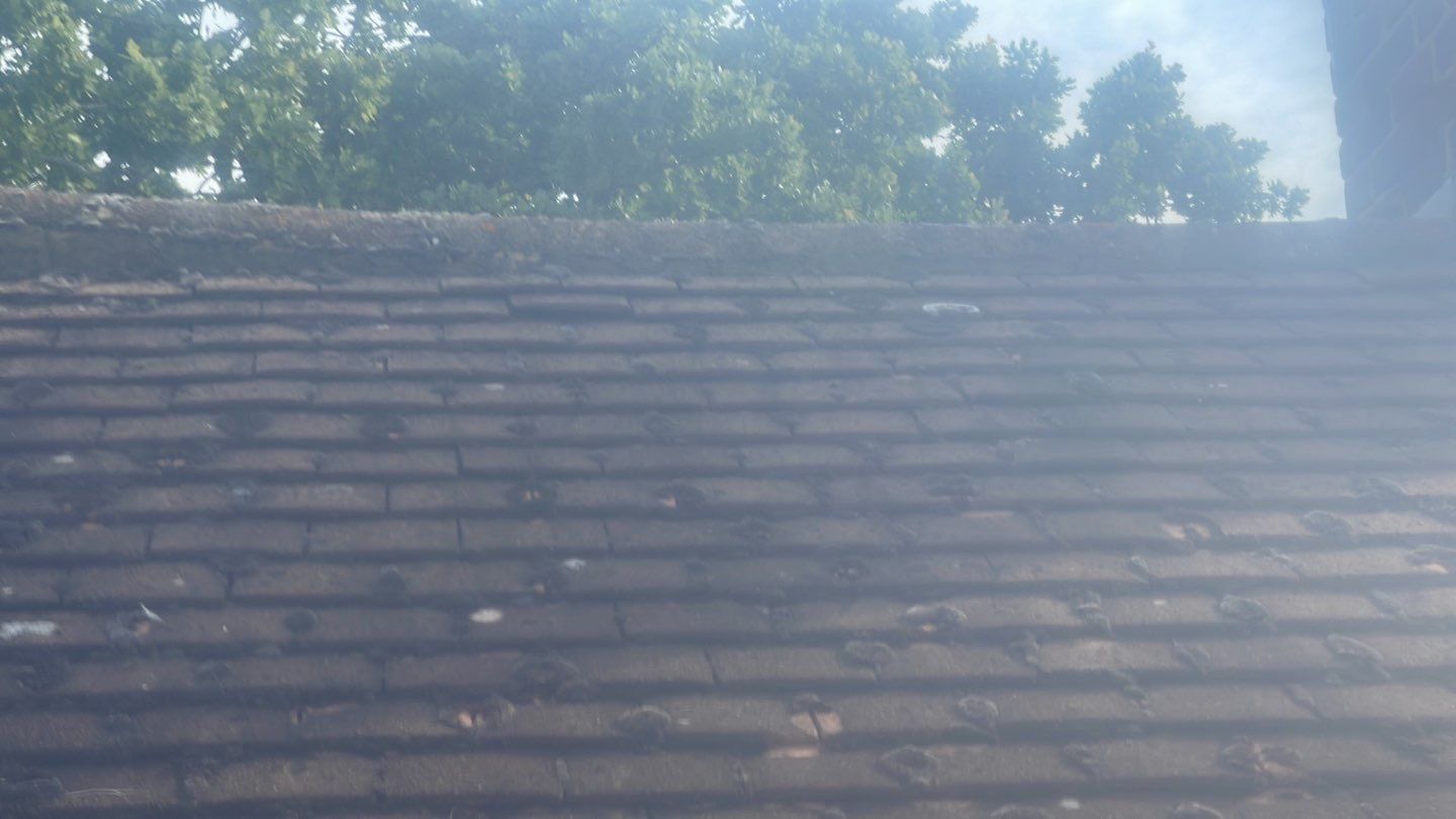 Roof Clean  - Moss Removal - Gutter Clean using Honda 15lpm Low Pressure Washing Machine by Ges Exterior Cleaning ltd