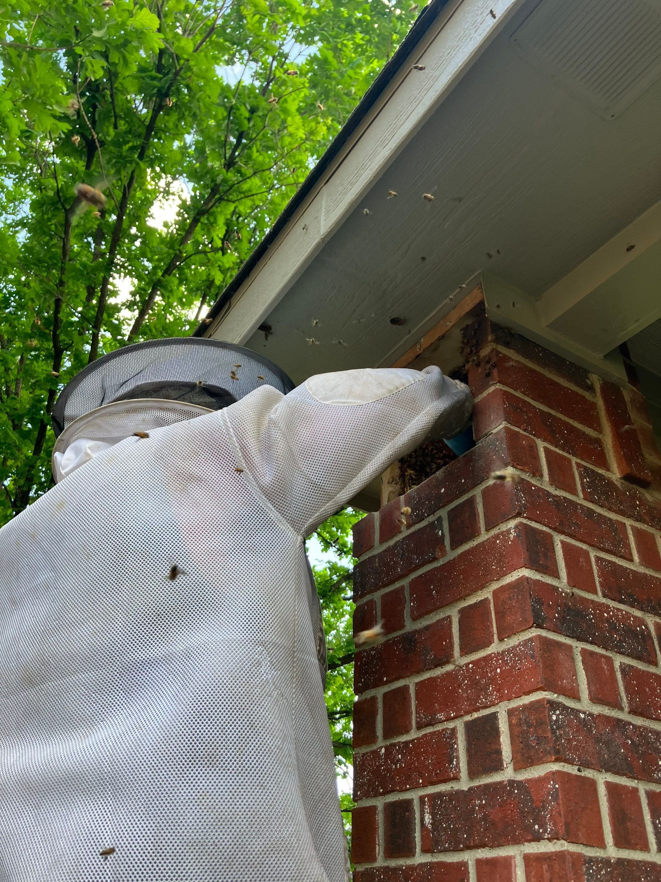 Brick Column by Rockwall Honey Bee Company