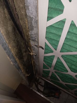 Commercial Air Duct Cleaning in Leesburg