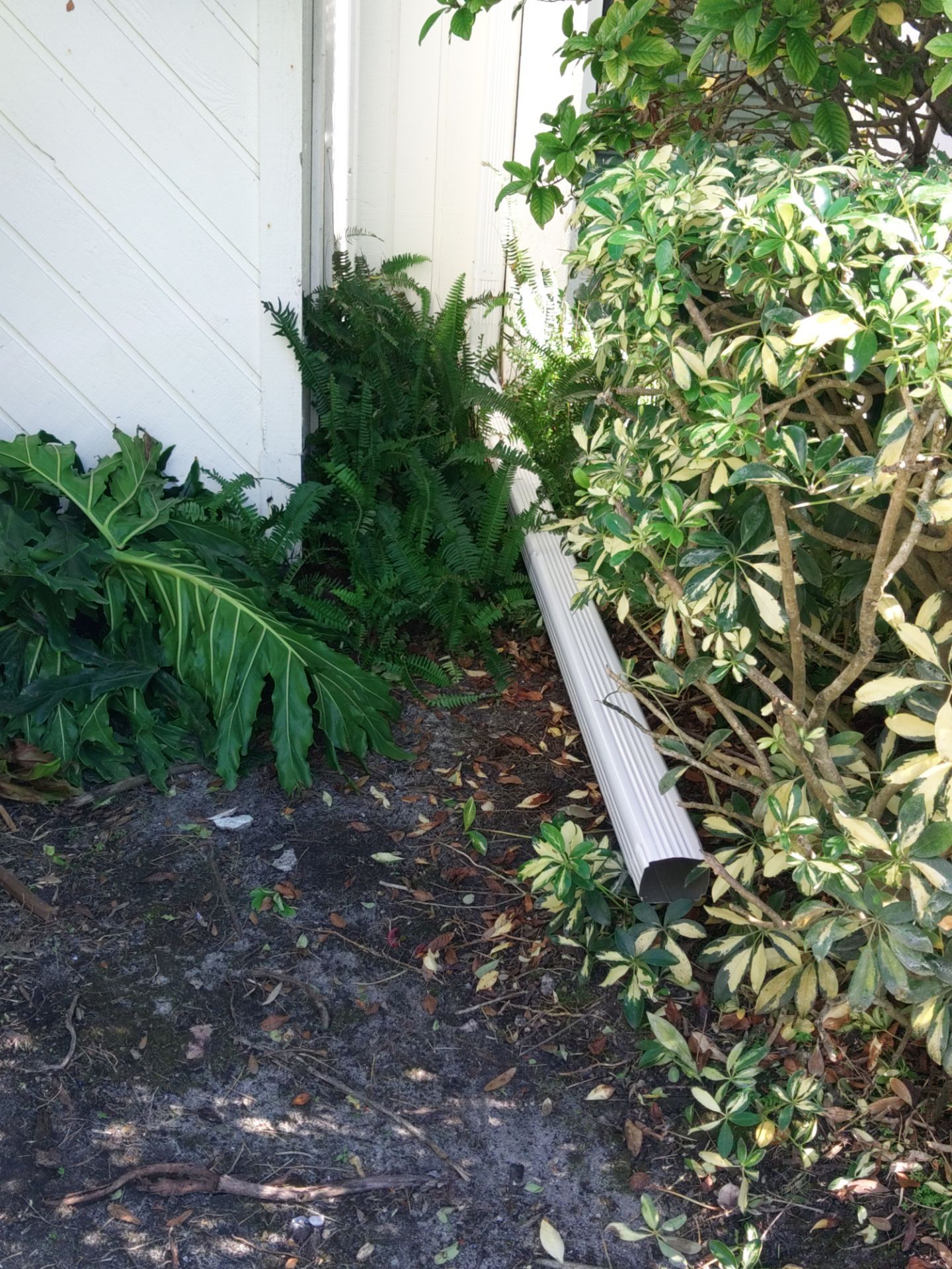 Soffit Ventilation Upgrade in Sarasota FL by Gutter Professors