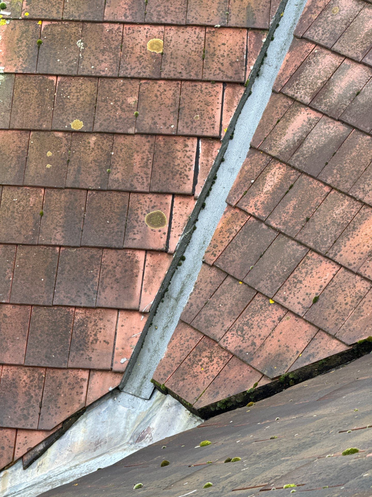 Large Care Home Roof Clean using Mosmatic FSC and Biocide by Ges Exterior Cleaning ltd