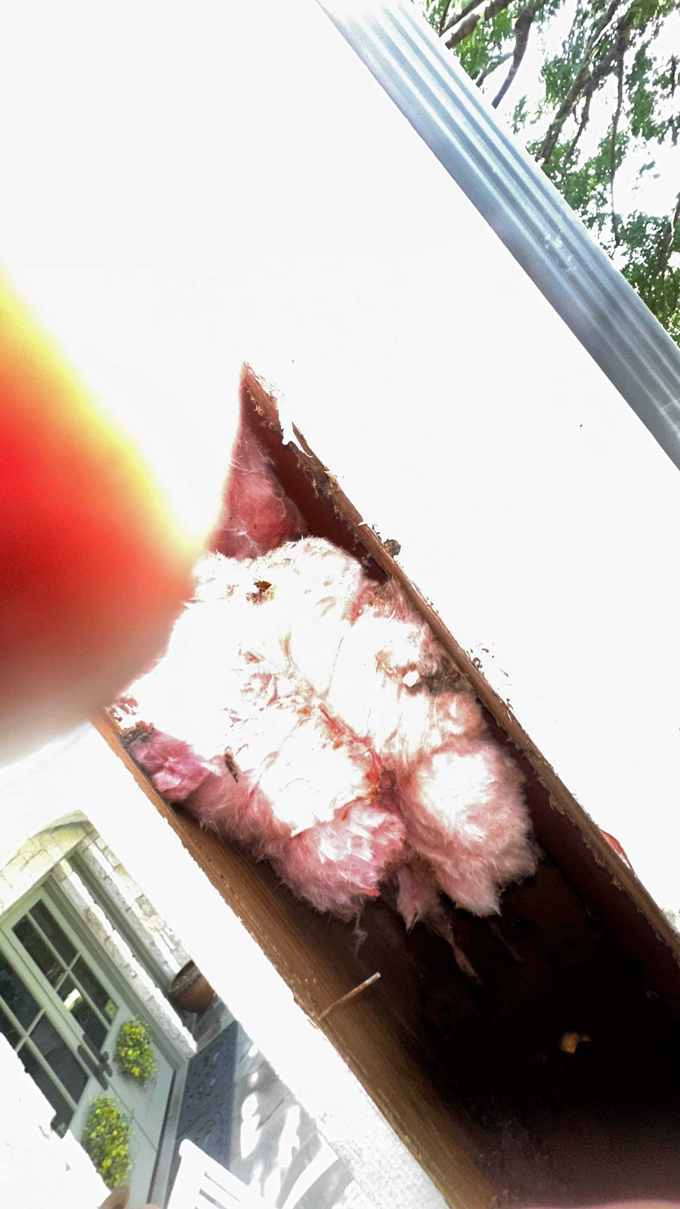 Column Bees by Rockwall Honey Bee Company