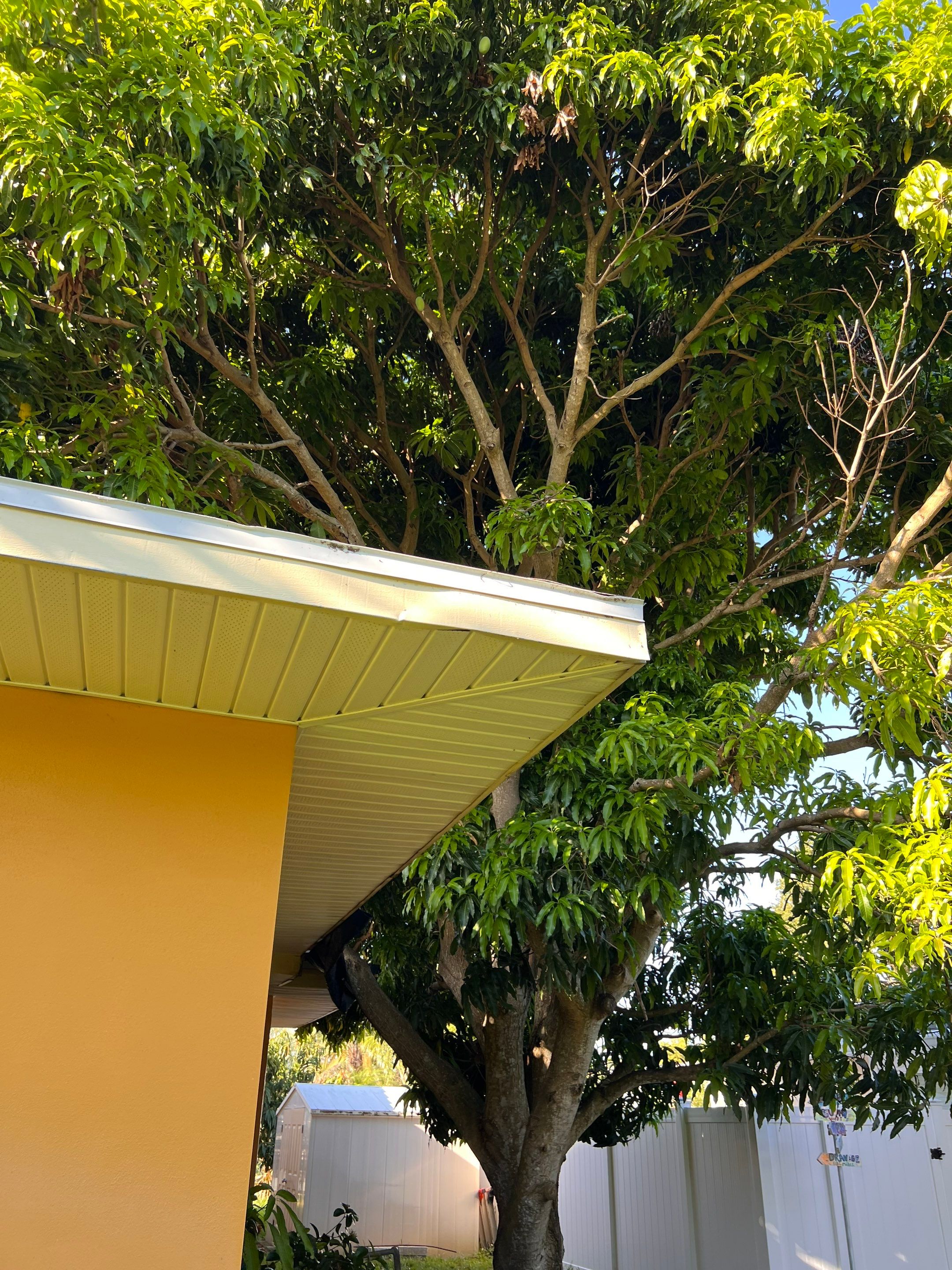 Project in Largo 33774 by Mitchell Roofing Company LLC 