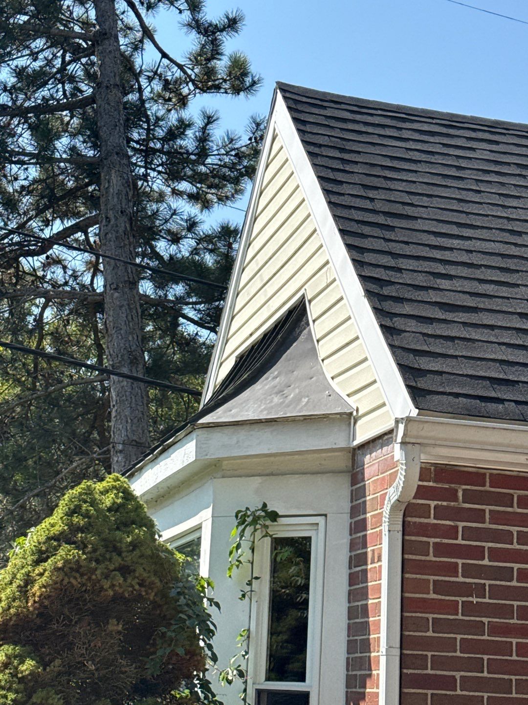 Jonathon Salmons Hail & Tree Damage Report by Constructive Project Management