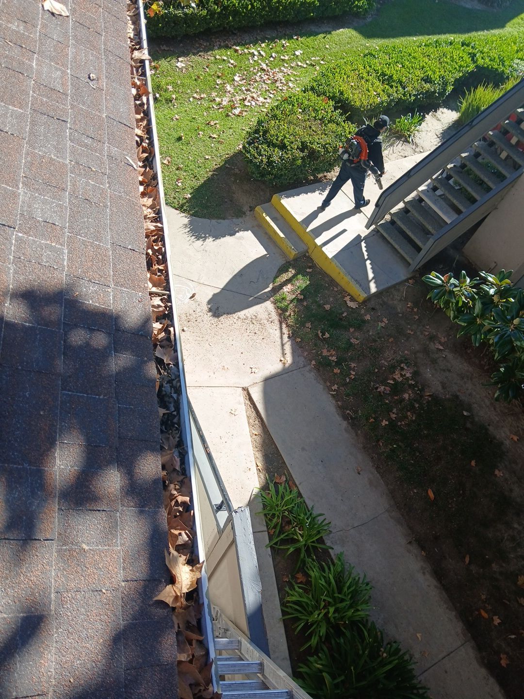 Commercial gutter cleaning Los Angeles before photo with filled gutters