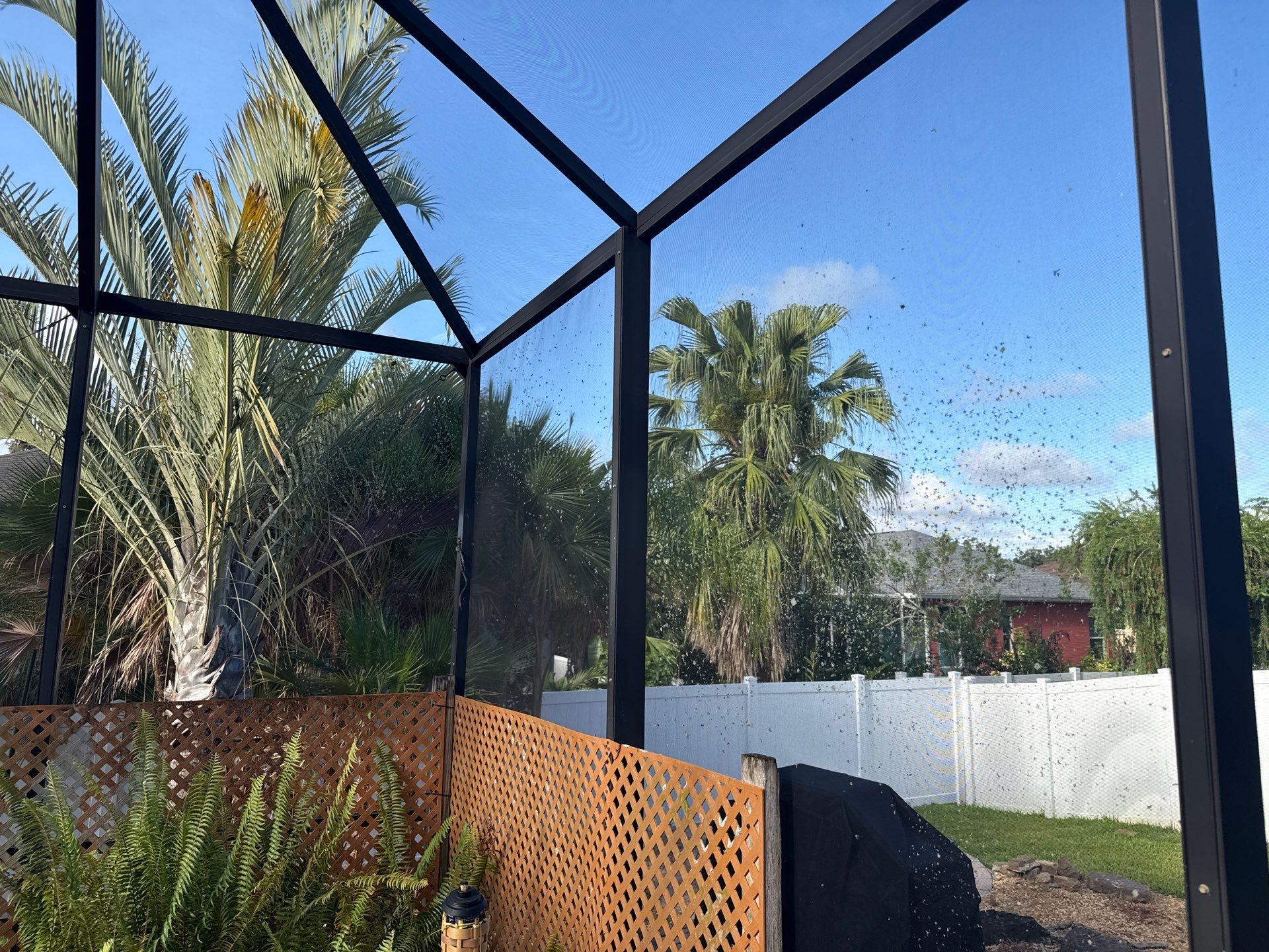 Pool Cage Screen Enclosure Cleaning – Oakley Community, Ellenton, FL 34222 by Sunshine AquaWash