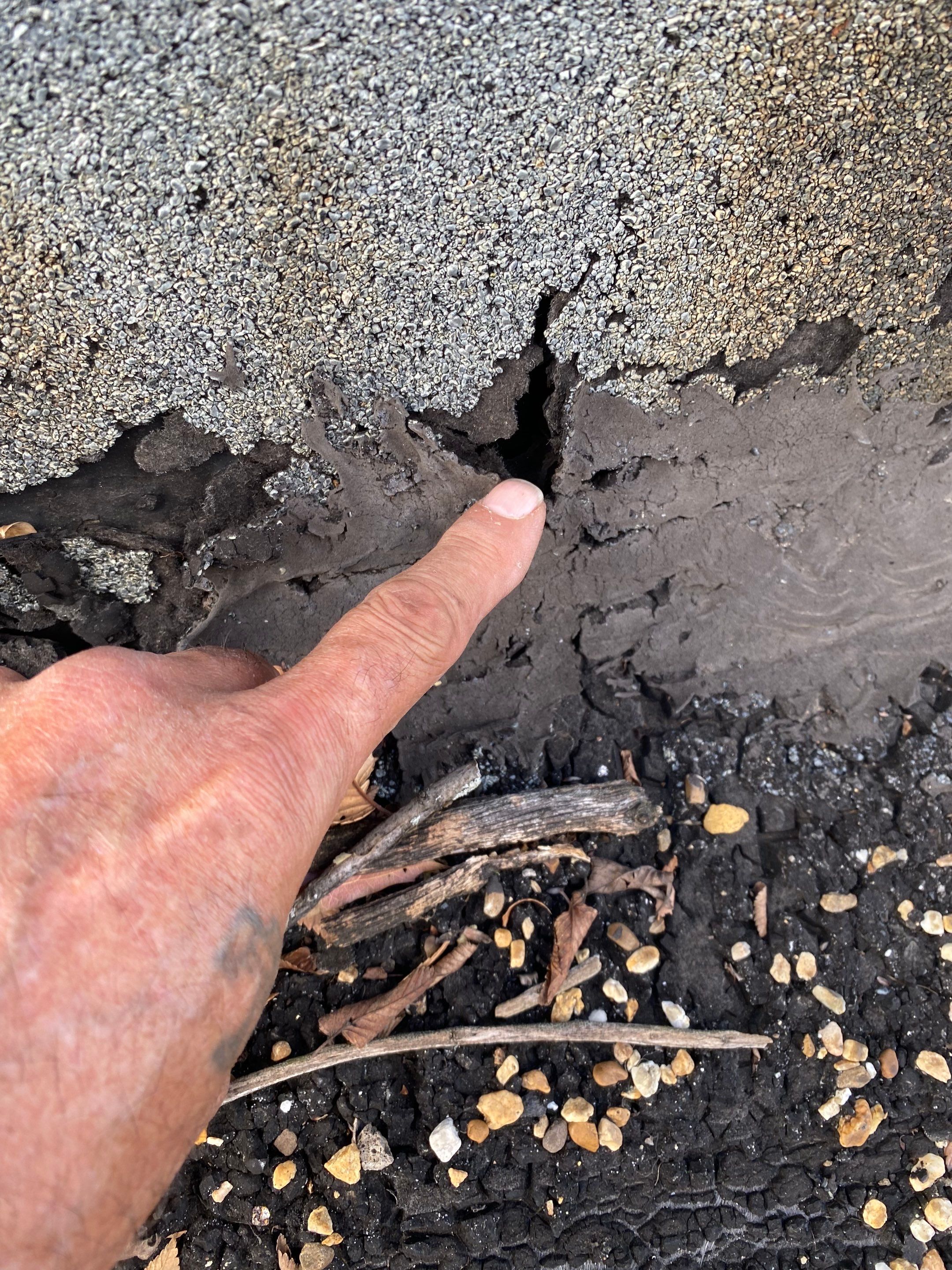 Alexandria: Residential Flat Roof Replacement with Mule Hide TPO Membrane by RM Banning, Inc.