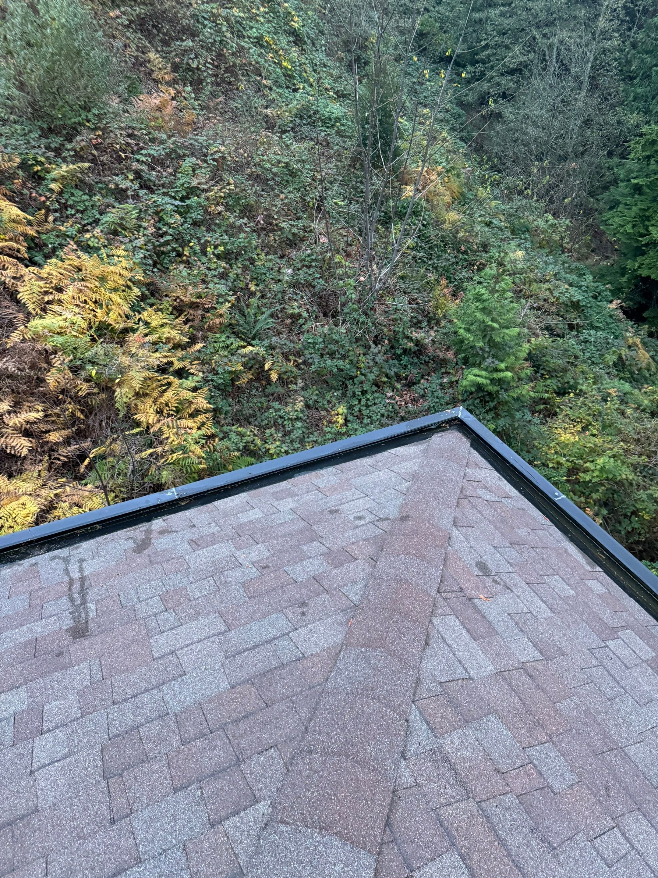 Gutter Cleaning  by YVR Construction Group