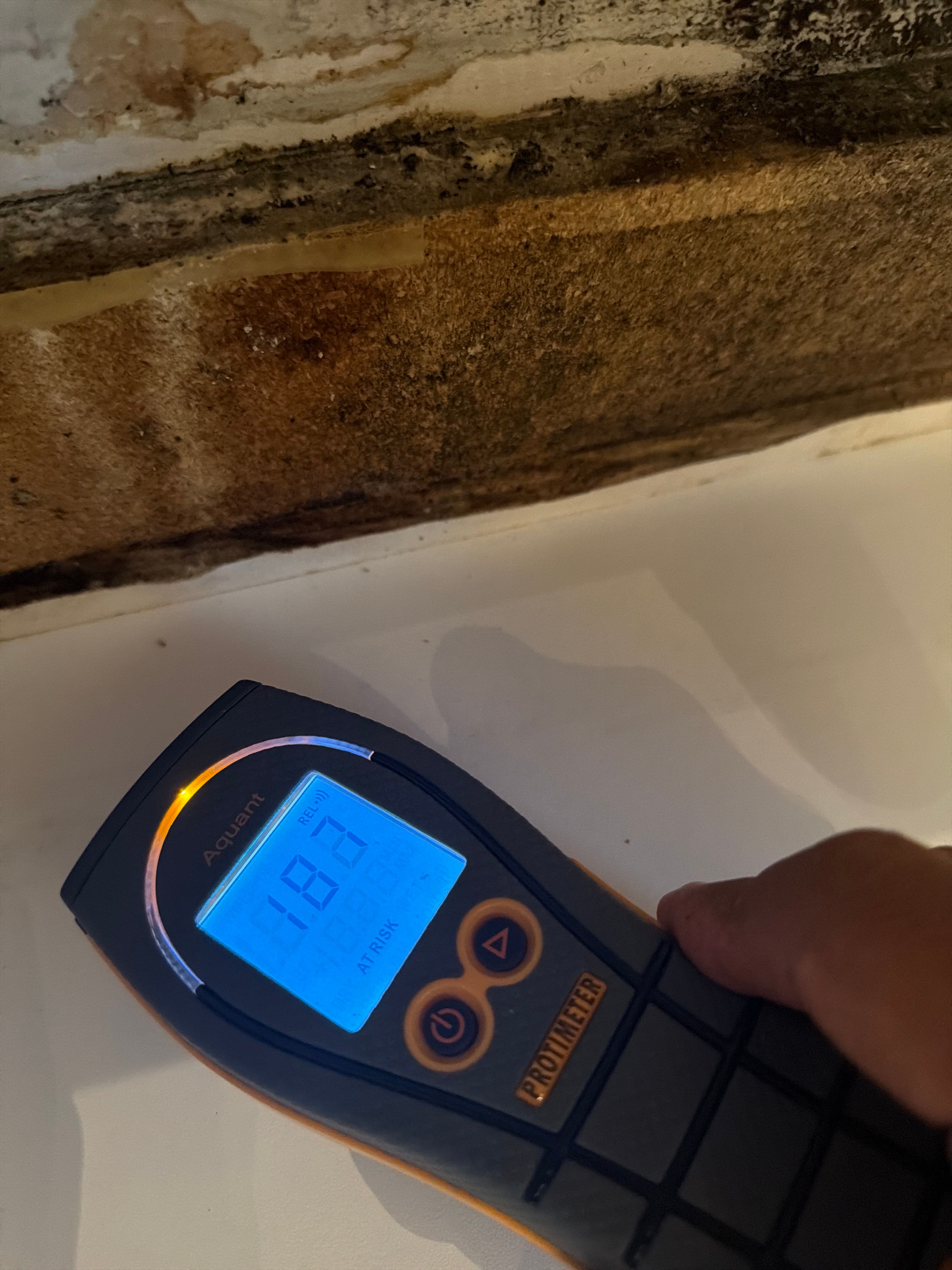 MOLD by SuperClean 
