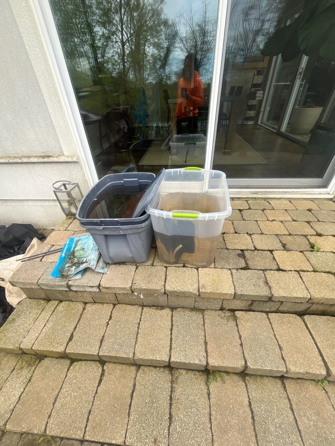 dryvit using Algaecide, soft wash soap by Northern Power Washing LLC.