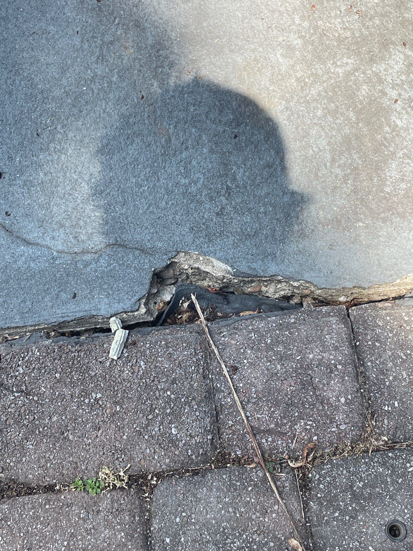 Pool Deck Project in Coraopolis by Floors in a Day, Inc