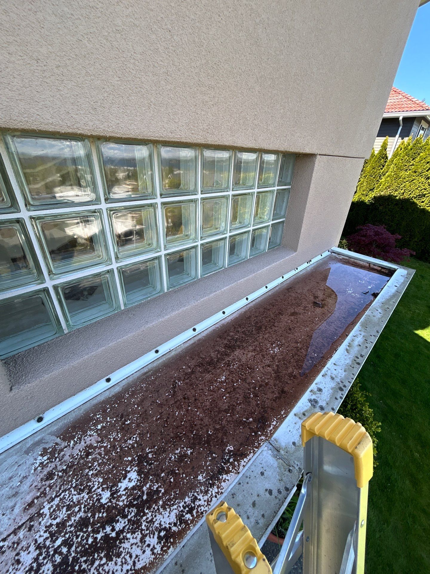 Project in Seattle by Peaks and Valleys Construction