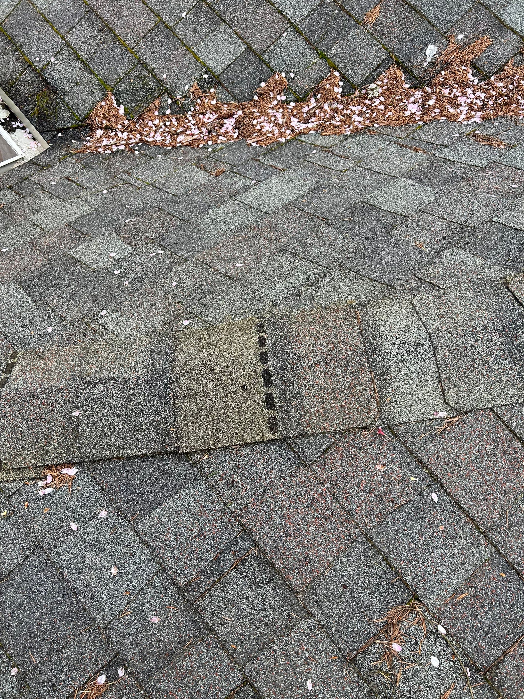 Project in Redmond by Peaks and Valleys Construction