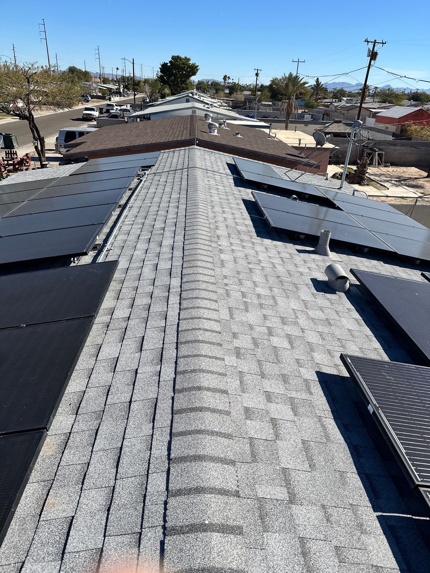 Silver Birch Shingles by Reimagine Roofing