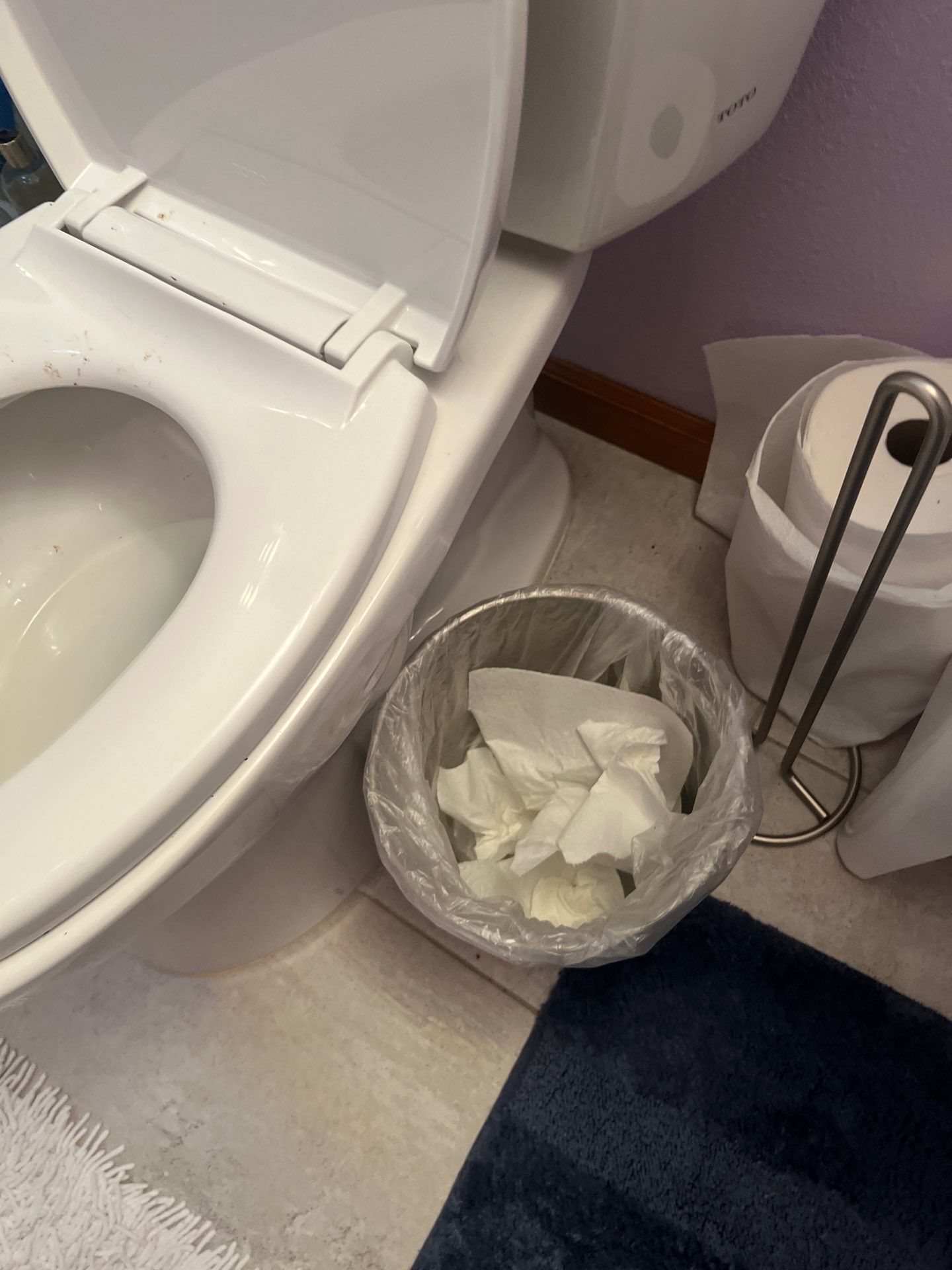 Home Claening Project in Lake Oswego by Cloud 9 Professional Cleaning Services