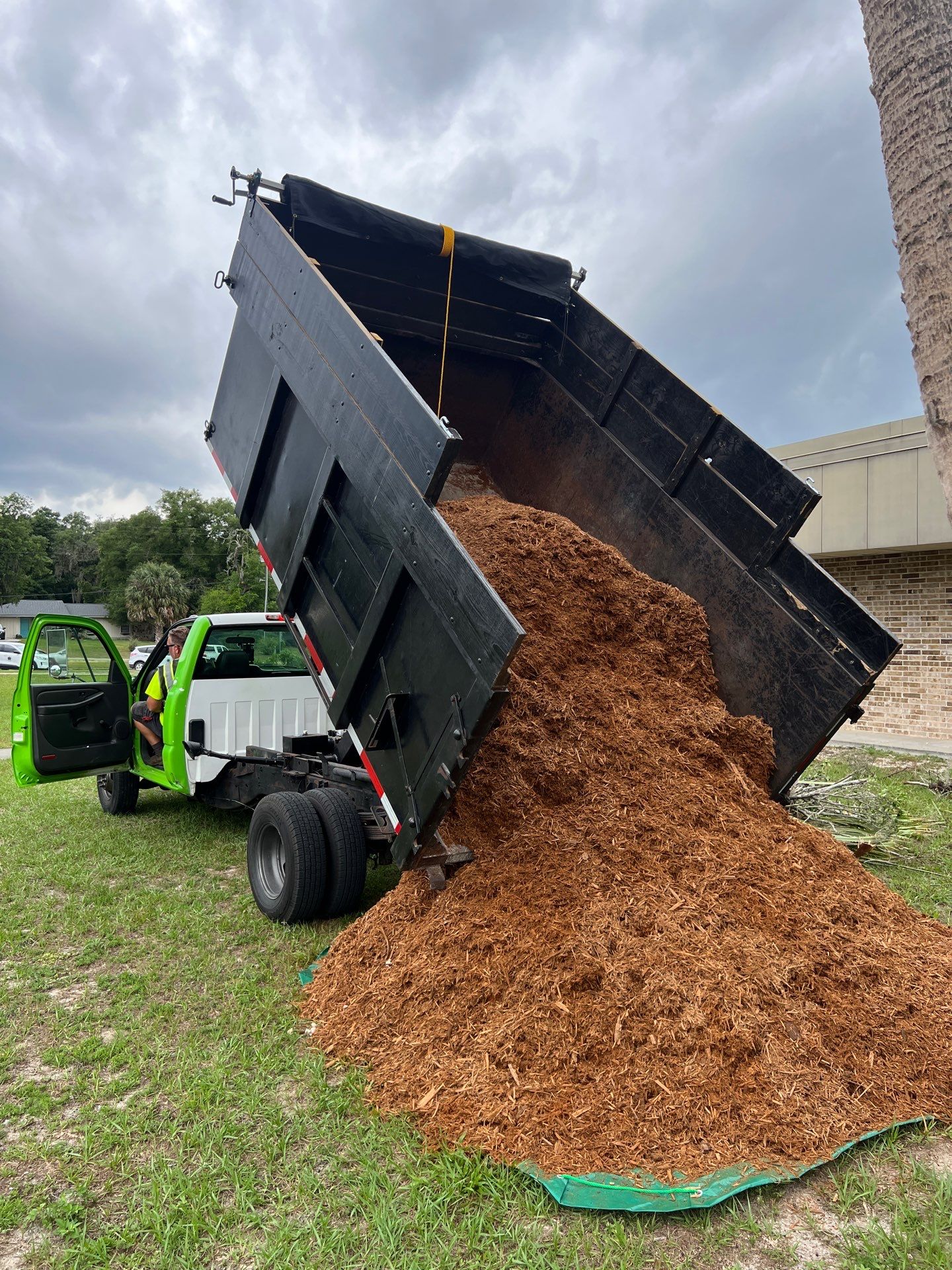 Landscape Install | Keystone Heights HS by ProGreen Services