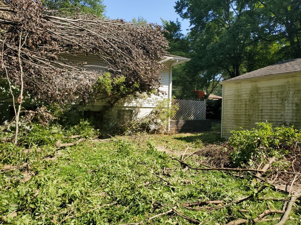 Storm Damaged Tree Removal  by Mike Jones & Sons Tree Service LLC 