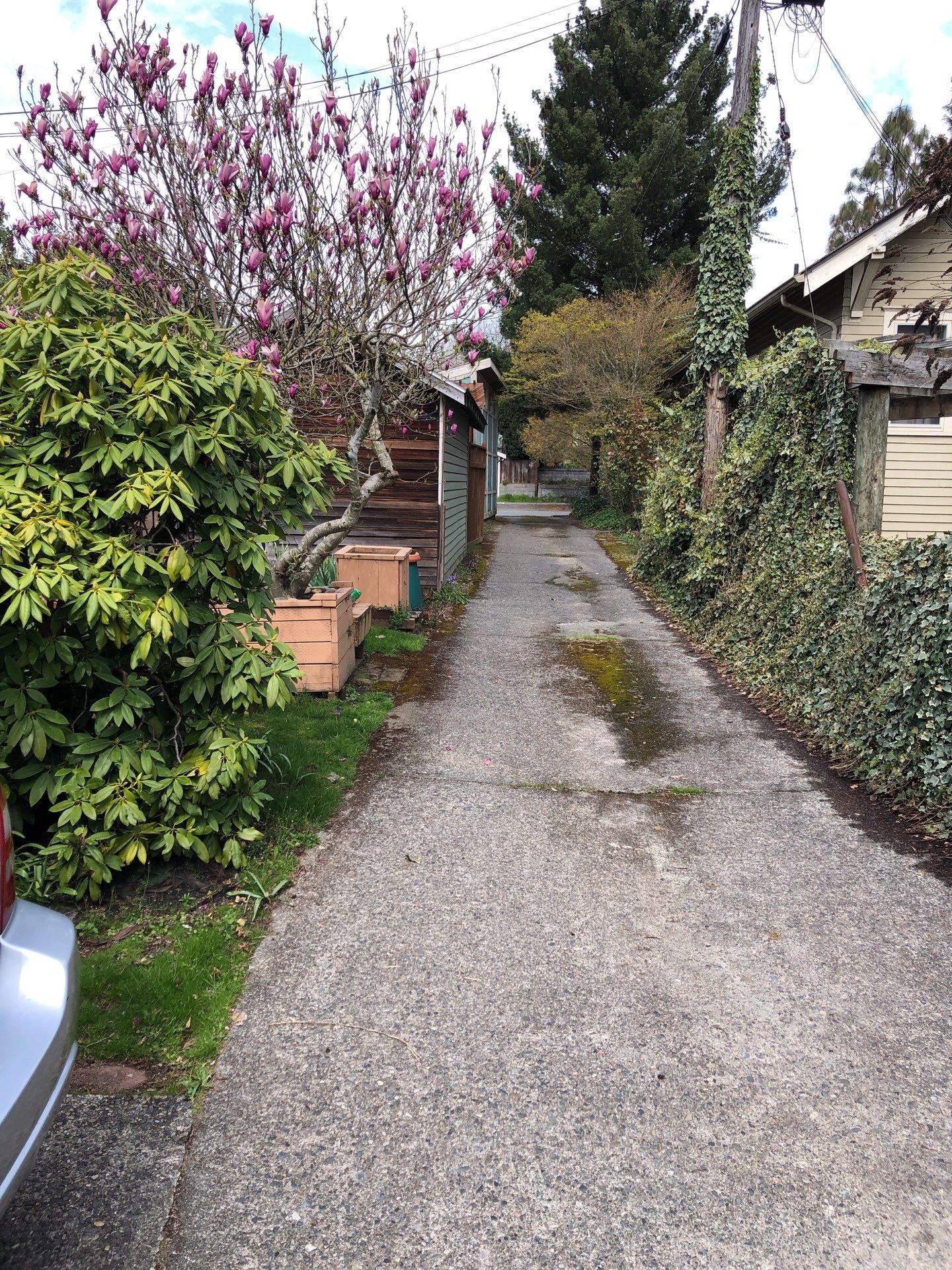 Project in Seattle by Connolly Construction Company