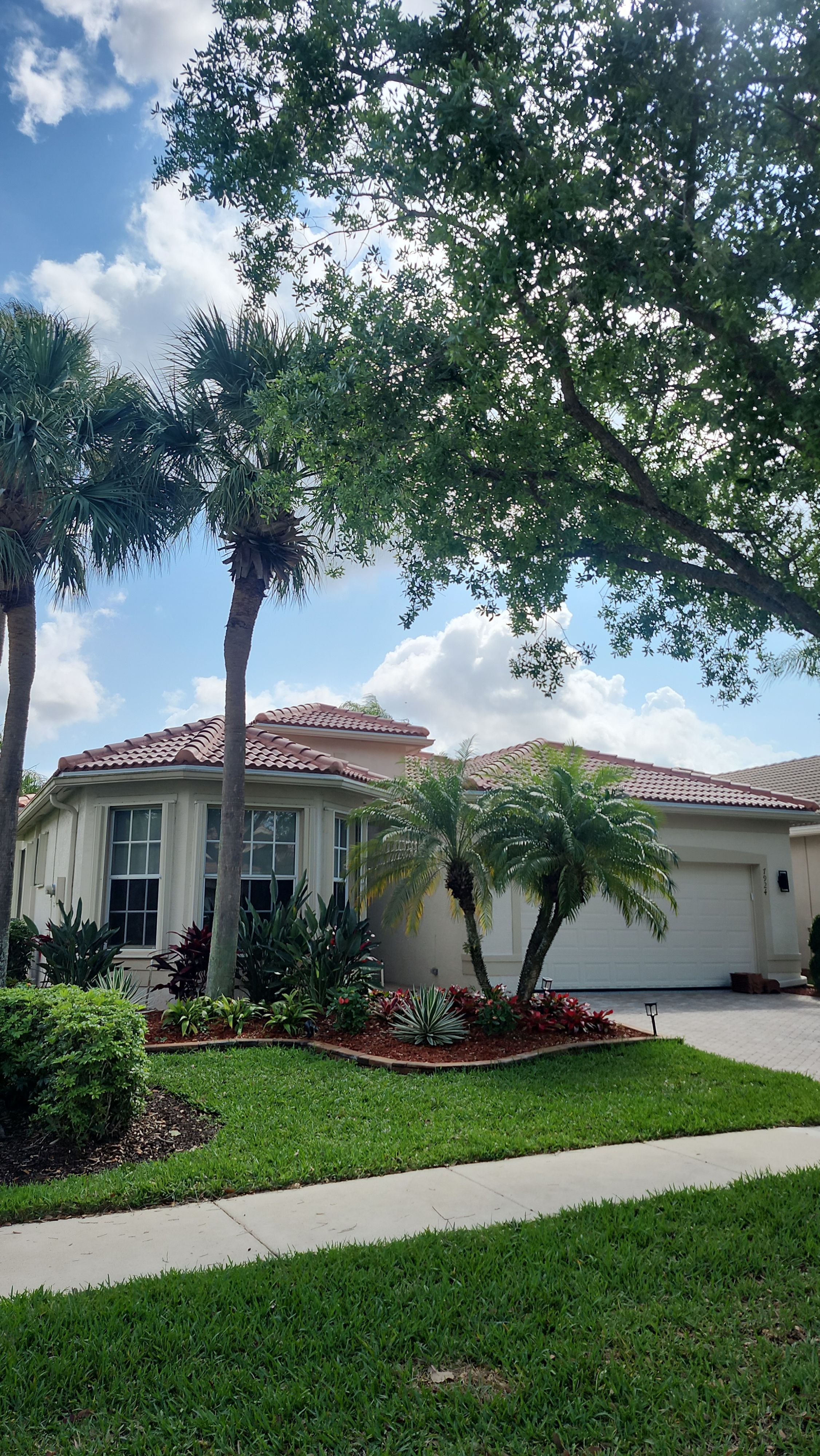 Full Concrete S-Tile Roof Replacement and Deck Repair in Wellington by Aastro Roofing