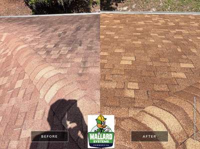 Residential Shingle Roof Cleaning for Sorrento Property