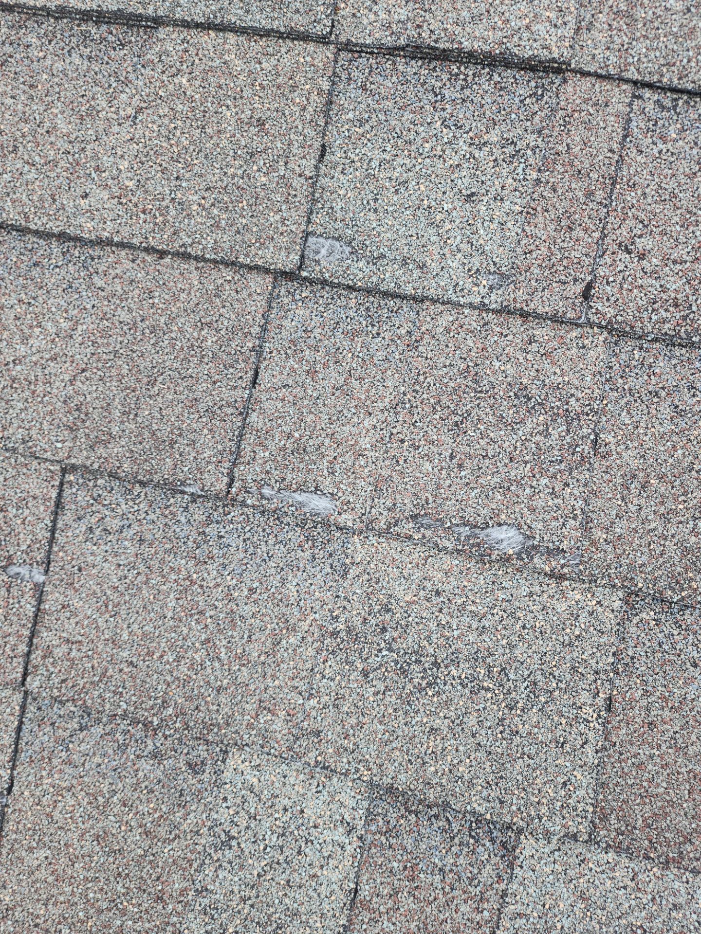 Hail Damage using Owen's Corning Duration (Lifetime) Shingles by Roof Repair Company