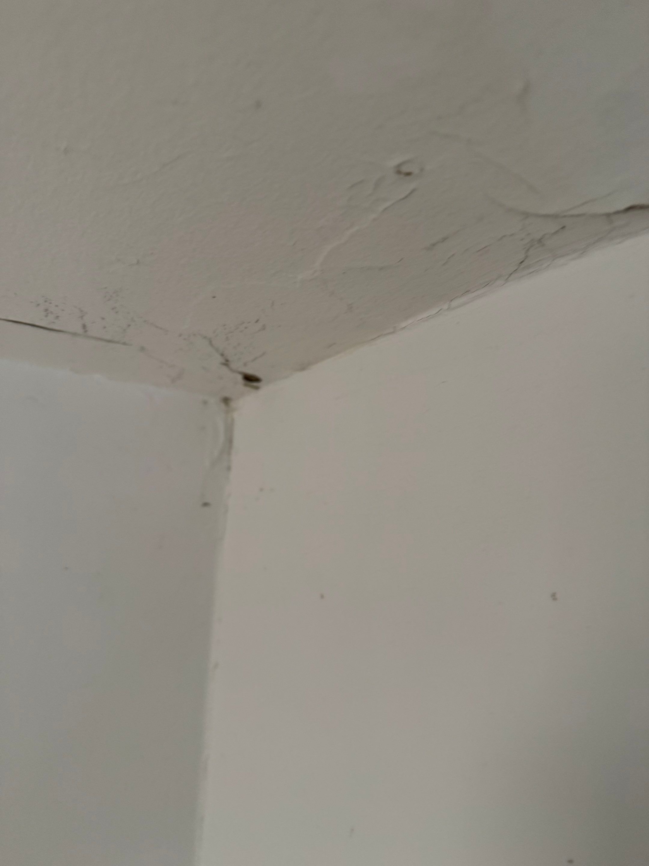 House Renovation - 25th st- West Vancouver by YVR Construction Group