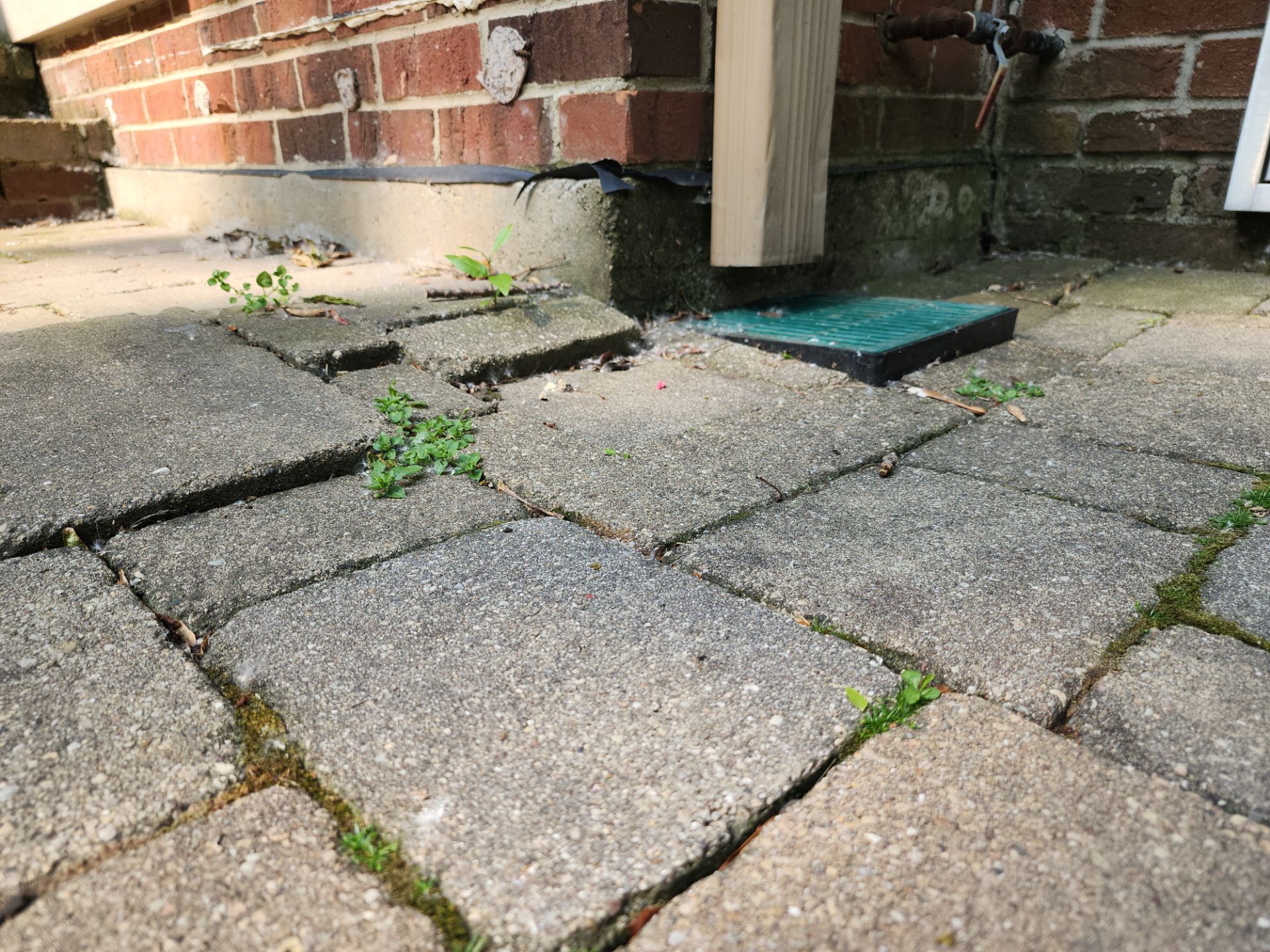 Brick paver repair, clean, seal and poly sanding by Northern Power Washing LLC.
