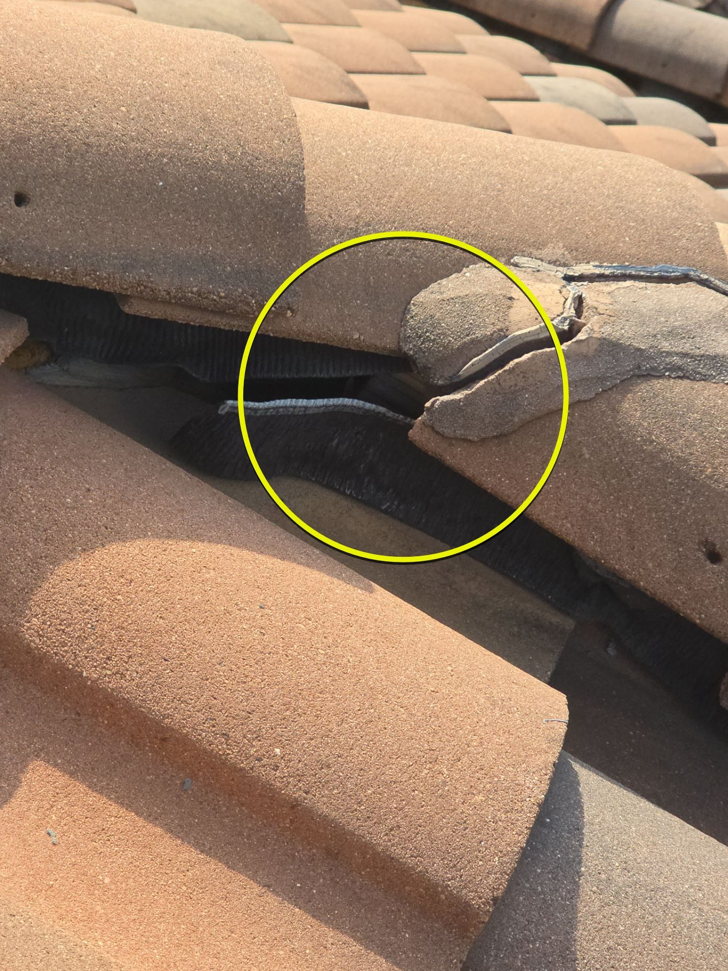 Project in Spring by Royal Crown Roofing 